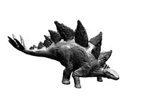 Stegosaurus