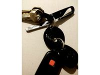 Quick Release TPU Keyring