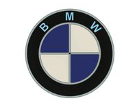 BMW Logo Multicolor