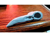 Raven Skull