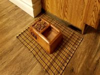 Whisker Friendly Cat Food Dish