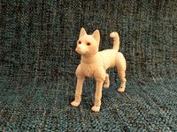 jindo dog (BJD)