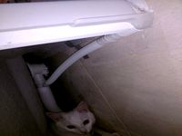 Bathtub spilled water collector (collects water from the bathtub's edge)