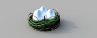 eggs in nest | 3D
