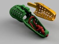 coral v5.1