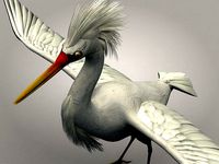 Egretta eulophotes Egret Bird