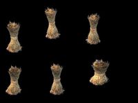 Game Model - prairie scene - Straw 02 01