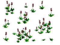 Game Model - prairie scene - Grass 03 01