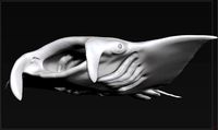 Manta Stingray Zbrush-obj