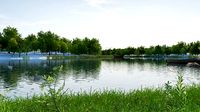 Wetland park landscape 03