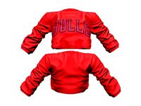 Basketball Style Hip Hop Long Sleeve Crop Top