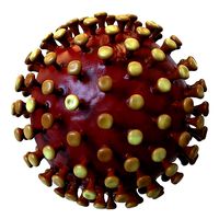 Coronavirus