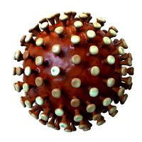 Coronavirus