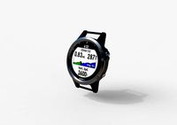 Garmin Fenix 6