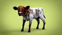 REALISTIC CALF