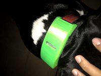 FI dog Collar mount