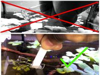 API Kit Test Tube Tweezers