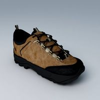 Ecco Xpedition like Shoe 3D Model