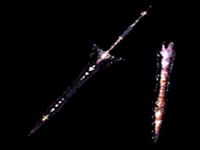 Monster Hunter Black Tornaria