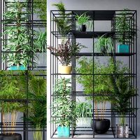 Wall Grid Plants Pot 8