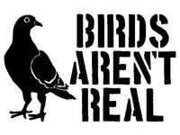 Birds Aren't Real Stencil
