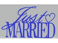 Just Married Wedding Decortion