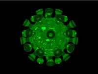 corona virus for 3d print V3.0  coronavirus Covid-19