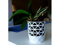Orquid Flower Pot