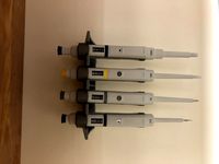 Eppendorf Pipette Rack