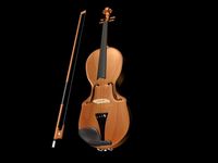 Viola 3D Model
