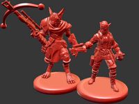 Han Solo and Chewbacca as D&D Characters