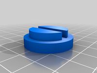 Focus charging point cover