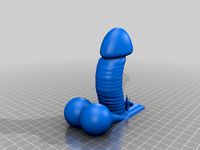 Penis