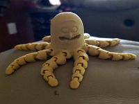 PickleRicktopus