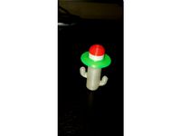 Cactus thumbdrive case