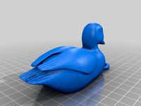 llavero pato