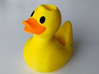 Multicolor Ducky pencil holder