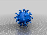 Corona Virus
