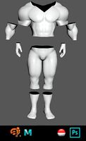 costume for the character