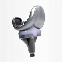 Knee Replacement Implant