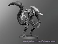Hive Warrior