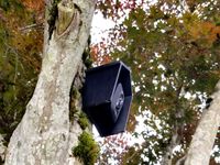 Blink Camera Cover Enclosure Shield House Outdoor Mount