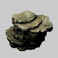 Wild - rock 1101