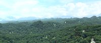 Forest mountain 3d model