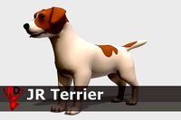 Jack Russell Terrier