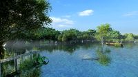 bird Wetland rainforest wilderness Virgin forest