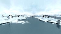 Arctic Antarctic penguin iceberg ocean polar cold