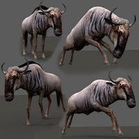 Wildebeest PRO