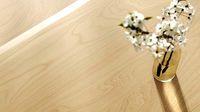 Maple wood veneer textur