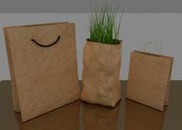 paper bag